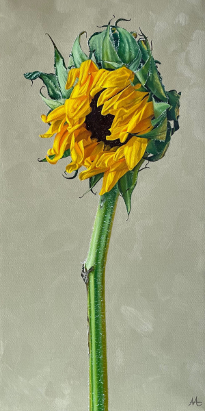"Sunflower" by Ava Lambert.